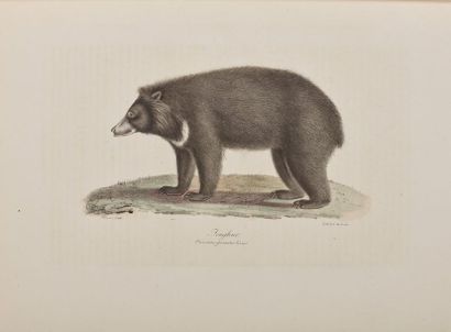 GEOFFROY SAINT-HILAIRE (Étienne) [et F. Cuvier]....