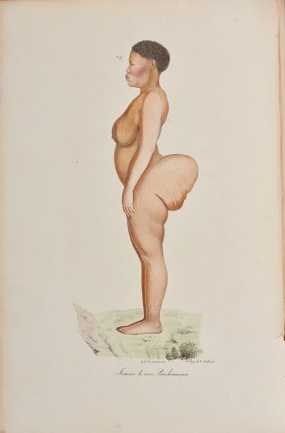 GEOFFROY SAINT-HILAIRE (Étienne) [et F. Cuvier]....