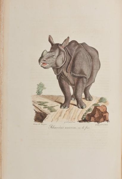 GEOFFROY SAINT-HILAIRE (Étienne) [et F. Cuvier]....