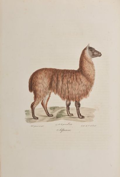 GEOFFROY SAINT-HILAIRE (Étienne) [et F. Cuvier]....