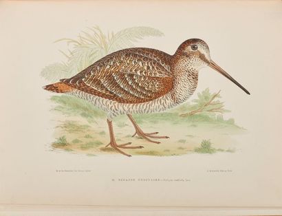 LA BLANCHÈRE (H. de). Les Oiseaux gibier....