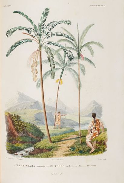 ORBIGNY (Alcide d’). Voyage dans l’Amérique...