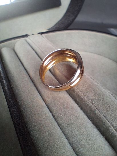 Bague en or jaune deux tons (750/1000e) TDD...