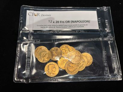 12 pièces de 20 Francs or modèle au Coq
dans...
