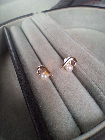 Paire de clous d'oreilles en or jaune (750/1000)...
