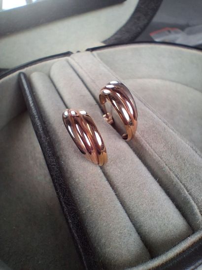 Paire de clous d'oreilles en or trois tons...
