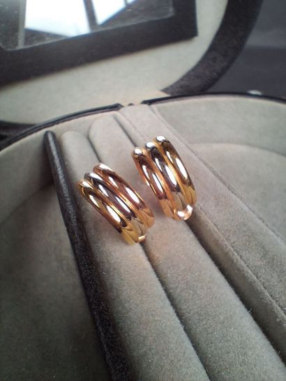 Paire de clous d'oreilles en or trois tons...