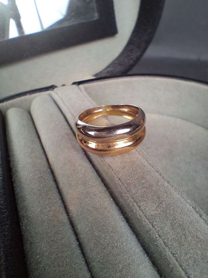 Bague en or jaune deux tons (750/1000e) TDD...