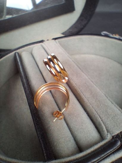 Paire de clous d'oreilles en or trois tons...