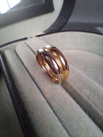 Bague en or jaune deux tons (750/1000e) TDD...
