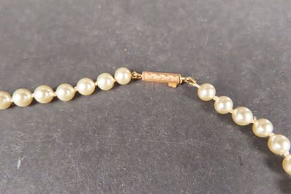 Collier de perle de culture, fermoir en or...