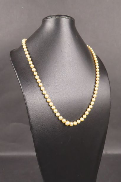 Collier de perles de culture, fermoir en...