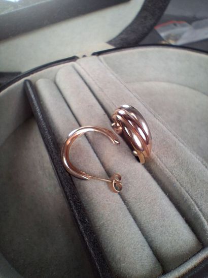 Paire de clous d'oreilles en or trois tons...