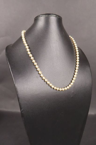 Collier de perle de culture, fermoir en or...