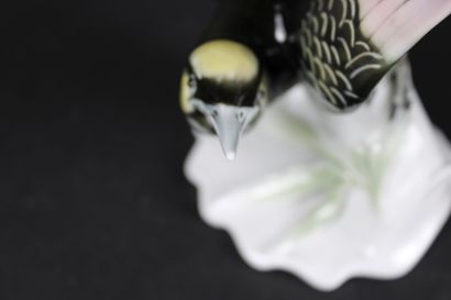 KARL ENS. Pie queue dressée, sujet en porcelaine...