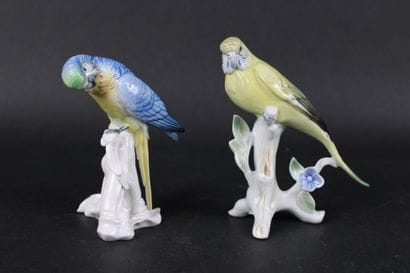 KARL ENS. Deux perruches bleue et jaune sur...