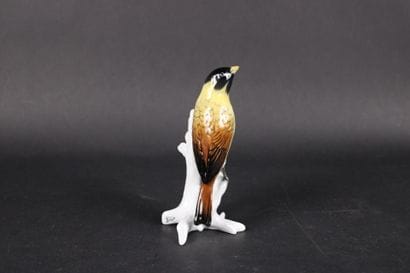 KARL ENS. Oiseau à tête noire, sujet en porcelaine...