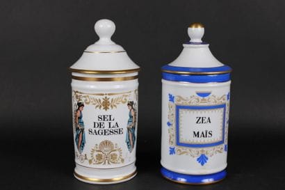 Lot de 2 pots à pharmacie en porcelaine 