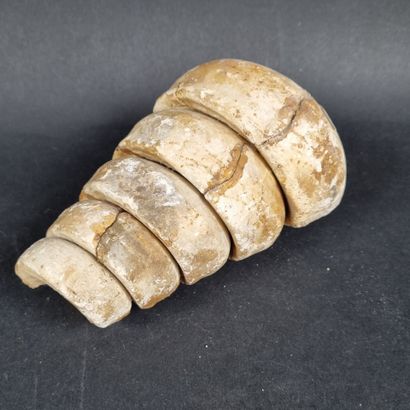 Lot comprenant : 1 fossile de poisson (4,5...