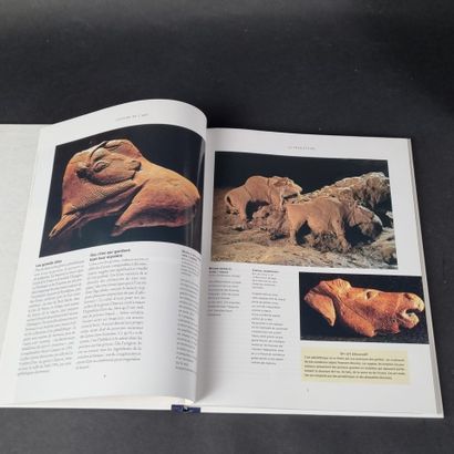 HISTOIRE DE L'ART. Lot de 8 livres : Le nu...