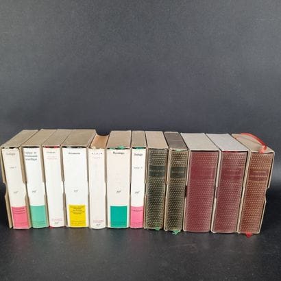 LA PLEIADE. Lot de 12 volumes dont Histoire...