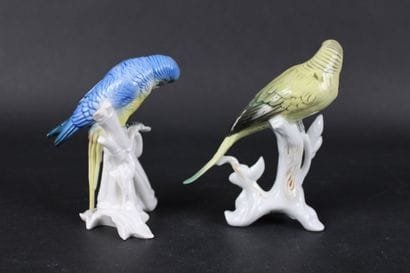 KARL ENS. Deux perruches bleue et jaune sur...