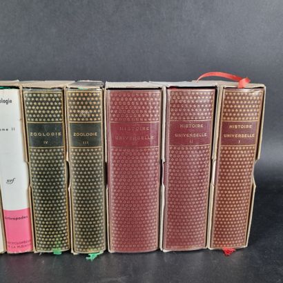 LA PLEIADE. Lot de 12 volumes dont Histoire...