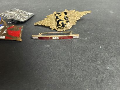 Lot comprenant : 7 insignes militaires divers,...