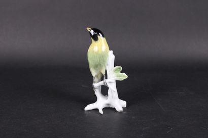 KARL ENS. Oiseau à tête noire, sujet en porcelaine...