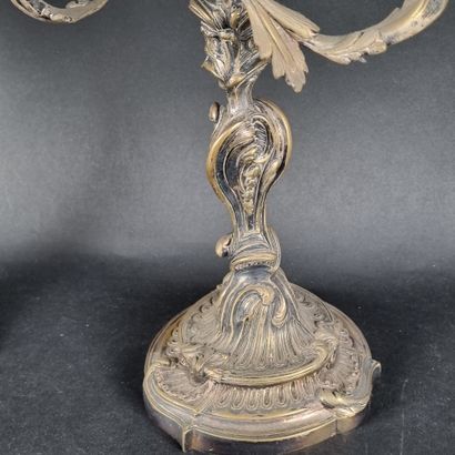 Paire de candélabres Rocaille en bronze désargenté...