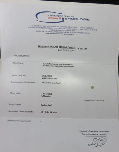 Perle fine sur papier.
Accompagnée d'un rapport...