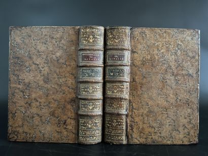 DICTIONNAIRE historique et géographique portatif...