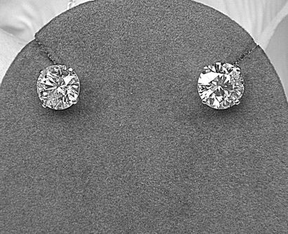Paire de clous d'oreilles or blanc 4 griffes...