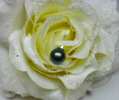 Pendentif en perle de Thaiti de régularité...