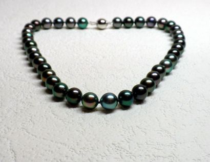 Collier en perle de Tahiti multicolore diamètre...