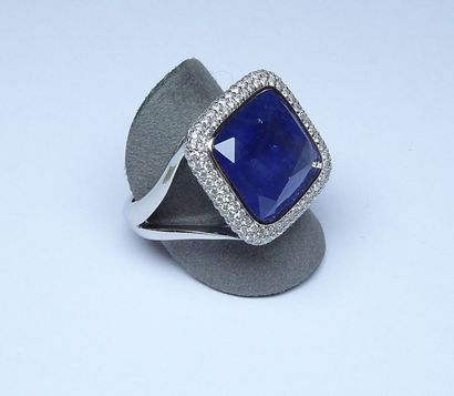 Bague or blanc anneau double fourche centrée...