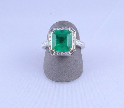 Bague bicolore centrée d'une Emeraude COLOMBIE...