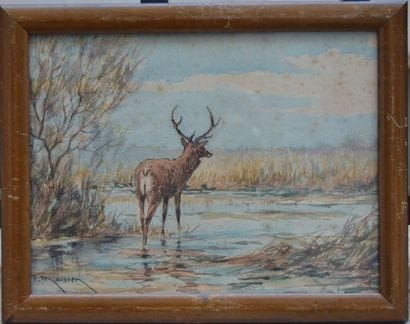 Fernand MAISSEN, Cerf dans les marais, aquarelle...