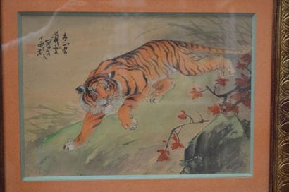 AQUARELLE représentant un tigre, Chine. 31...