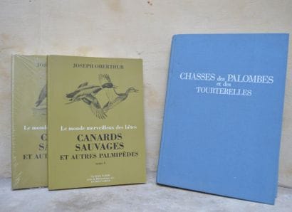 Joseph OBERTHUR, Canards sauvages et autres...
