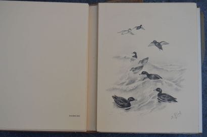 Jean de WITT, Gibiers, 48 planches d'études...