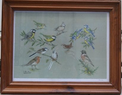 Joseph OBERTHUR (1872-1956), Etude de passereaux,...