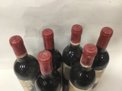 
Lot de 6 Bouteilles Château LA CARDONE ,...