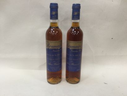 Lot de 2 Bouteilles de BRUMAIRE 1996 ( bon...