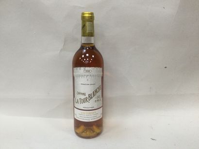 Lot de 10 Bouteilles de Château LA TOUR BLANCHE,...