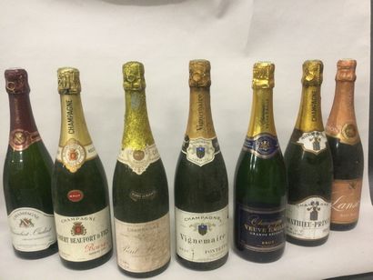 Lot de 7 Bouteilles de vieux champagne.