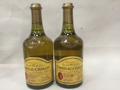 Lot de 2 Bouteilles de Château CHALON MARCEL...
