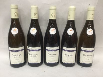 Lot de 5 Santenay les Charrons Domaine Jérôme...