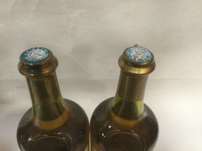 Lot de 2 Bouteilles de Château CHALON FRUITIERE...