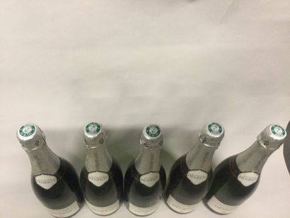 
5 Bouteilles Champagne brut Raymond HENRIOT,...